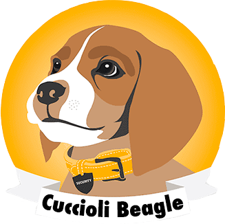 Cuccioli Beagle